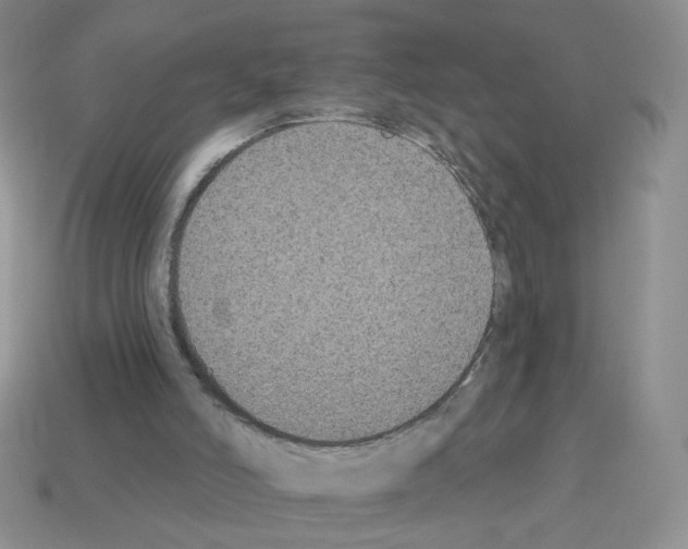 X0000112960006200910081055