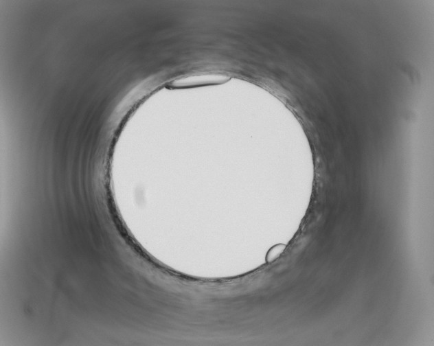 X0000112960007200910081055