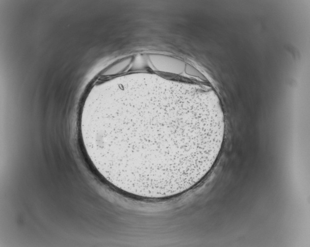 X0000112960008200910081055