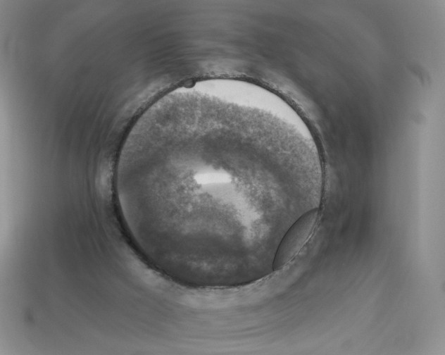 X0000112960009200910081055