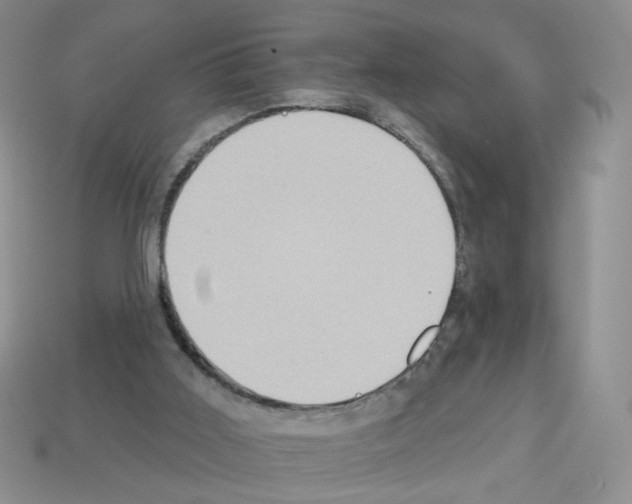 X0000112960011200910081055