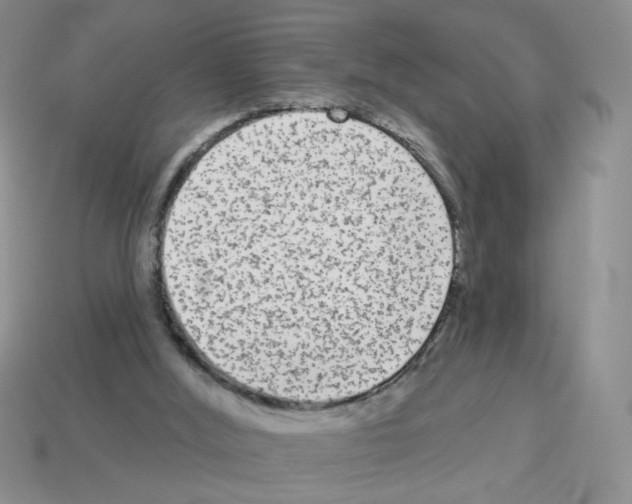 X0000112960012200910081055