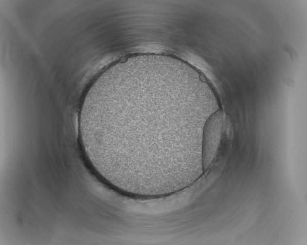 X0000112960013200910081055