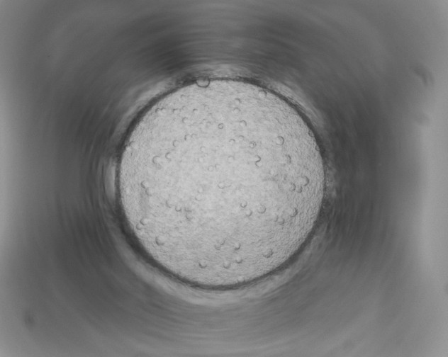 X0000112960014200910081055