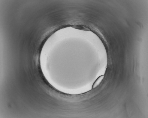 X0000112960019200910081055