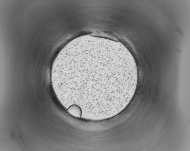 X0000112960020200910081055