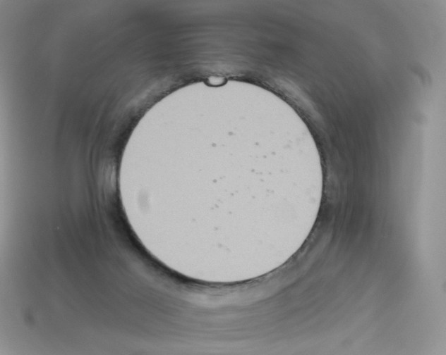 X0000112960021200910081055