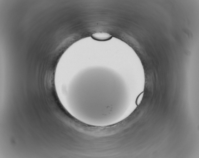 X0000112960023200910081055