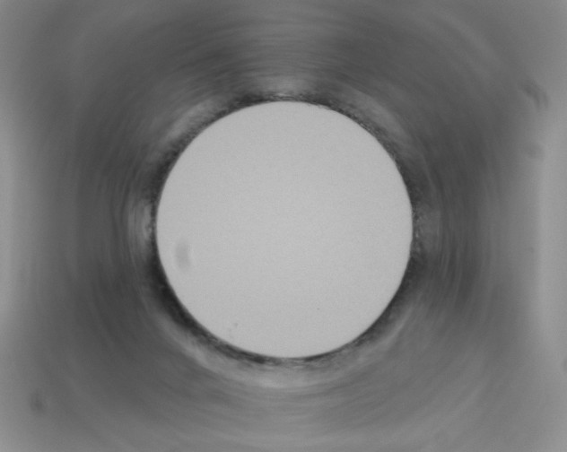 X0000112960024200910081055