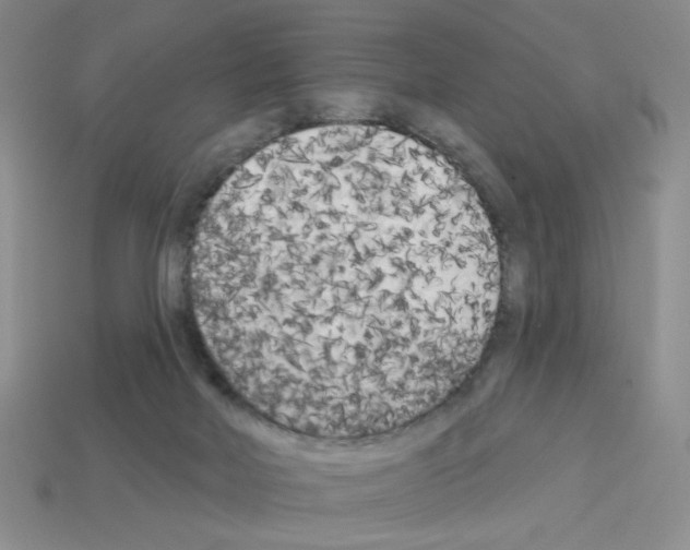 X0000112960026200910081055