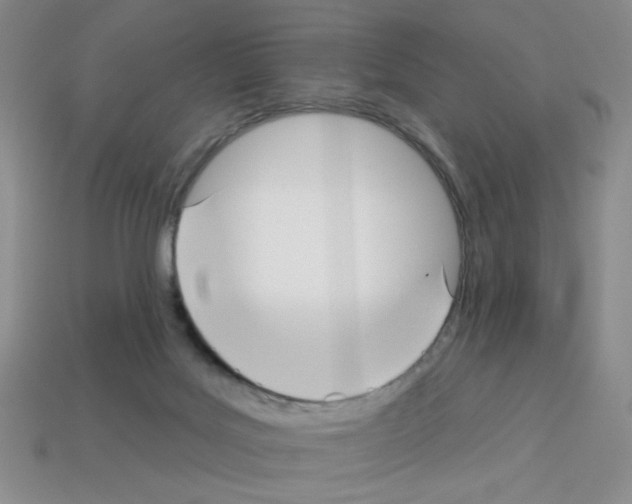 X0000112960027200910081055