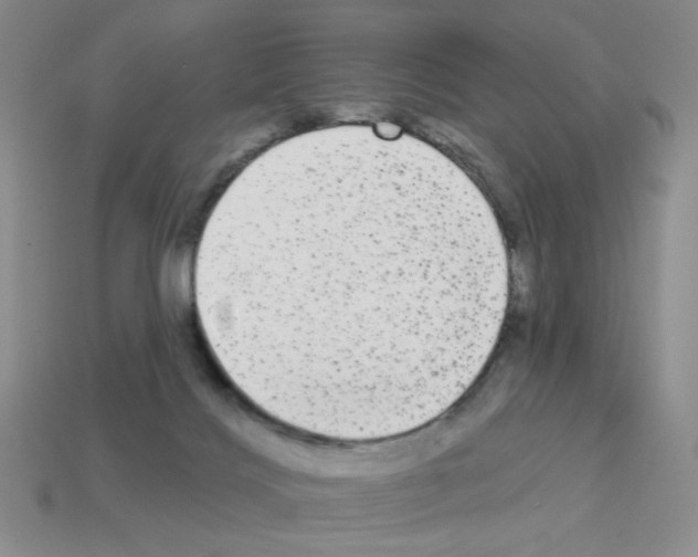 X0000112960028200910081055