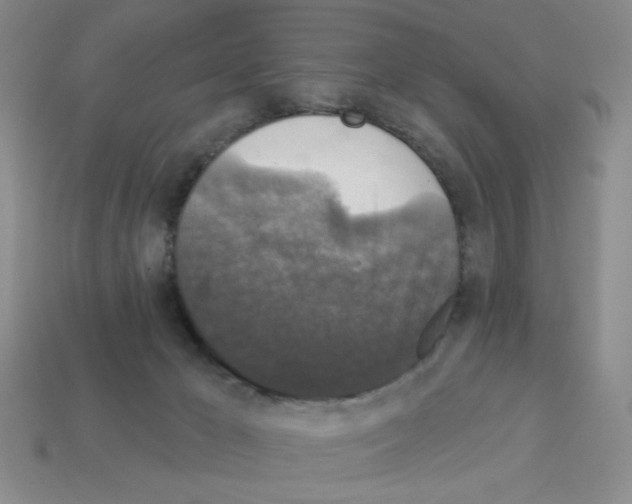 X0000112960029200910081055