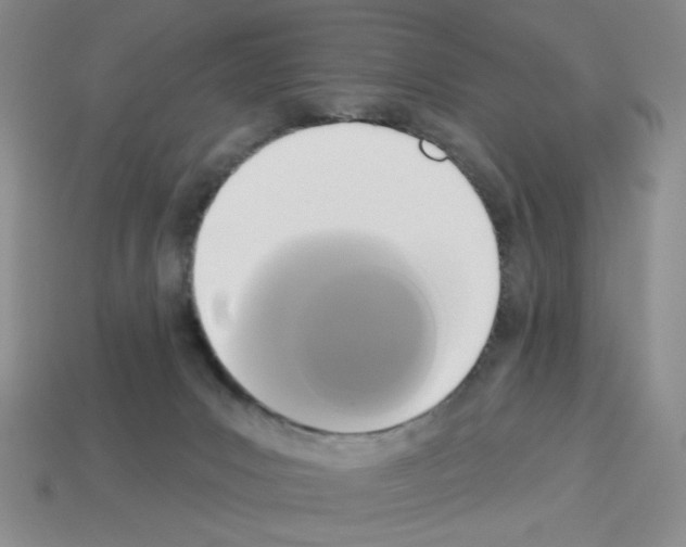 X0000112960031200910081055