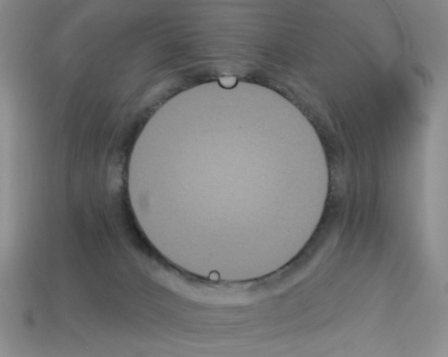 X0000112960032200910081055