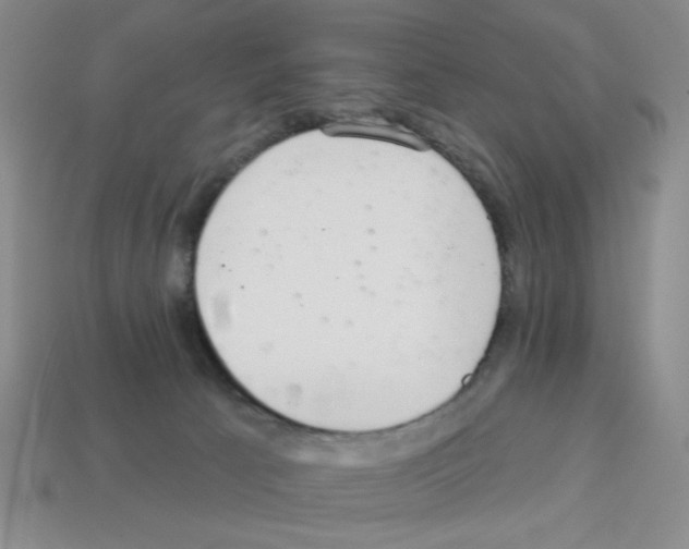 X0000112960033200910081055