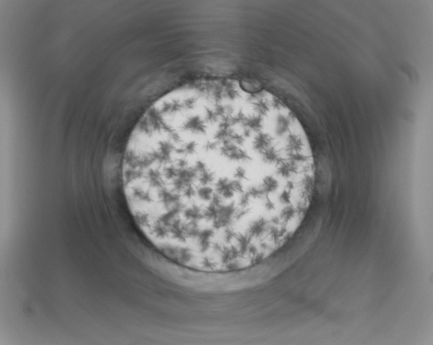 X0000112960034200910081055