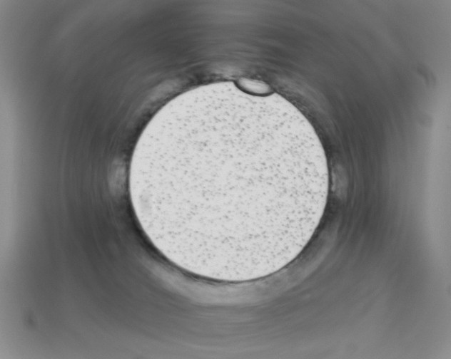 X0000112960036200910081055