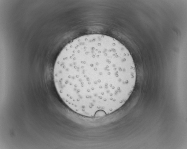 X0000112960038200910081055