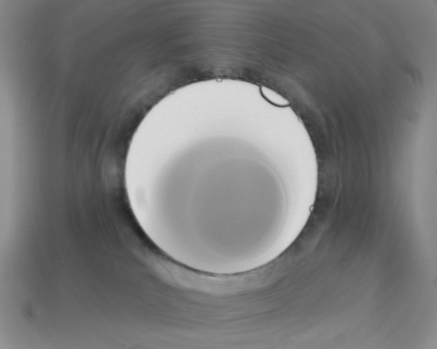 X0000112960039200910081055