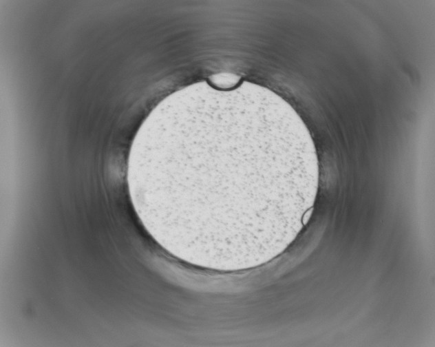 X0000112960040200910081055