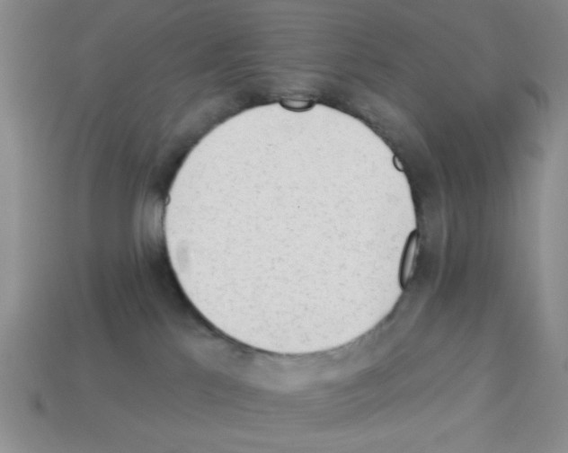 X0000112960041200910081055