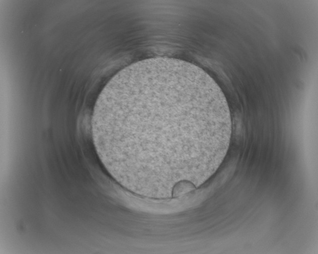 X0000112960042200910081055