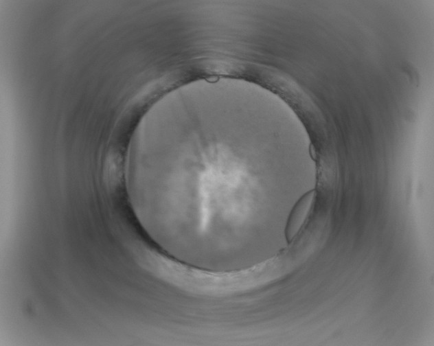 X0000112960043200910081055