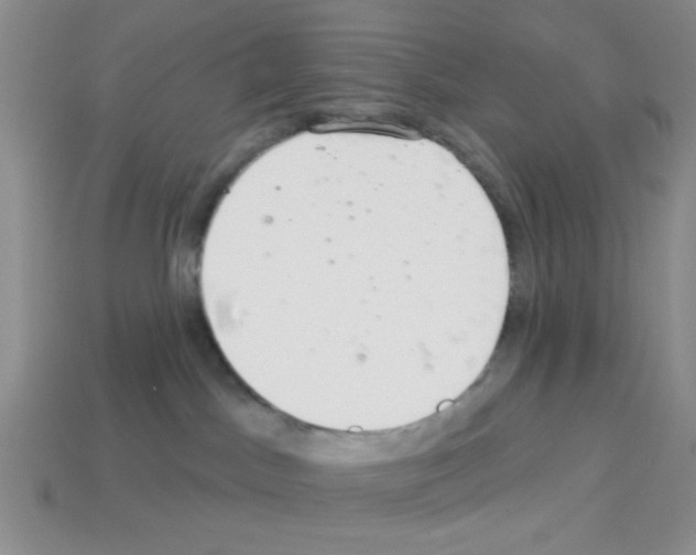 X0000112960045200910081055