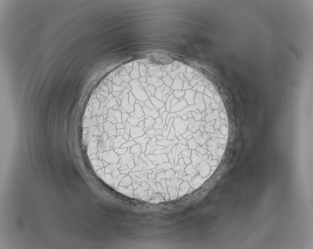 X0000112960049200910081054