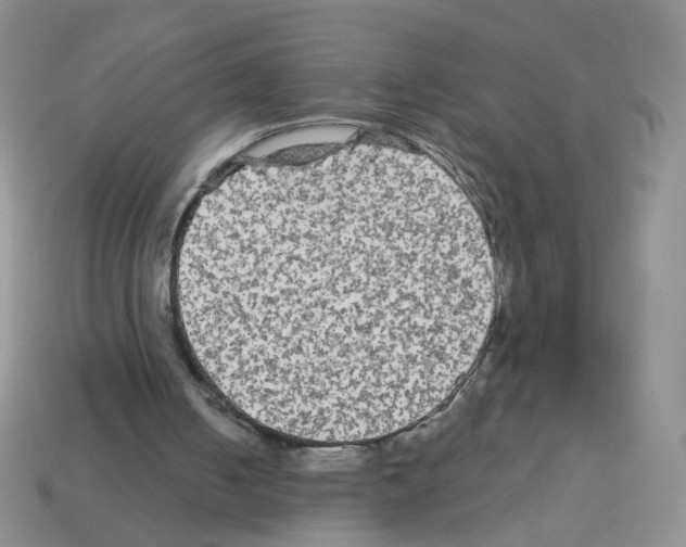 X0000112960050200910081054