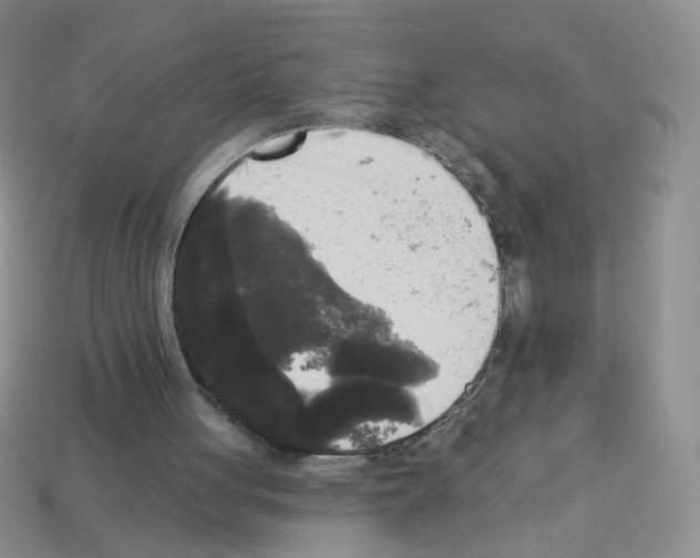 X0000112960051200910081054