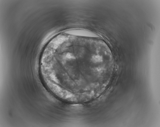 X0000112960053200910081054