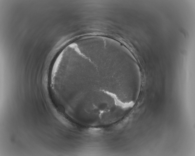 X0000112960055200910081054