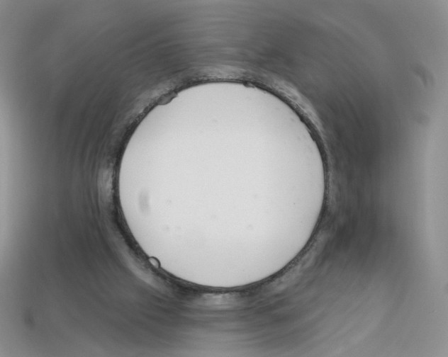 X0000112960057200910081054