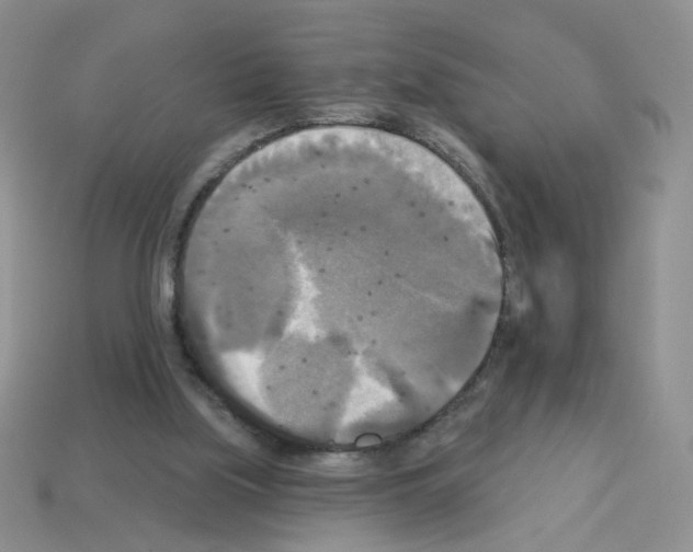 X0000112960059200910081054