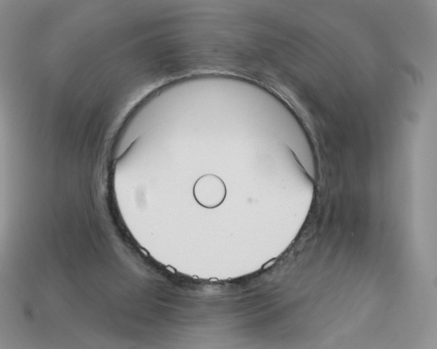 X0000112960060200910081054