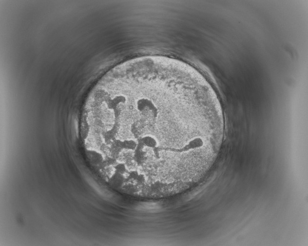 X0000112960061200910081054