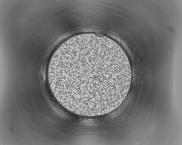 X0000112960062200910081054