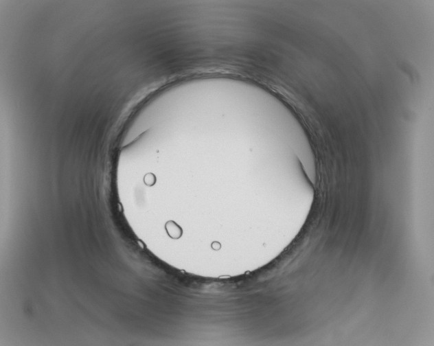 X0000112960064200910081054