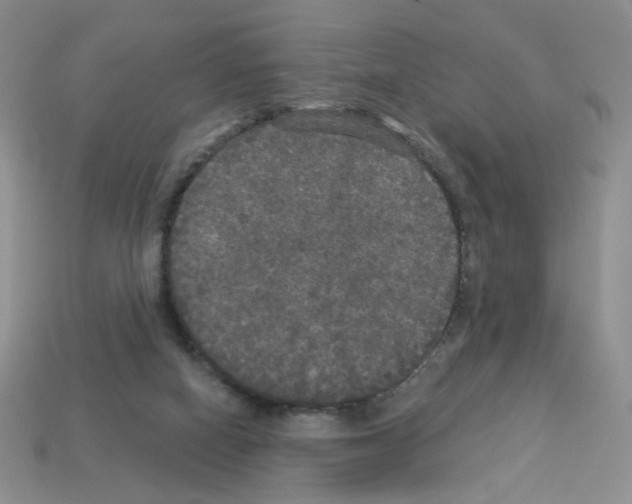 X0000112960066200910081054