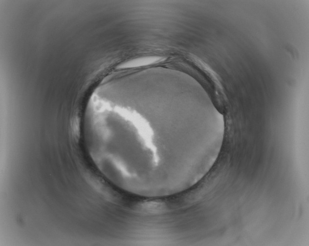 X0000112960067200910081054