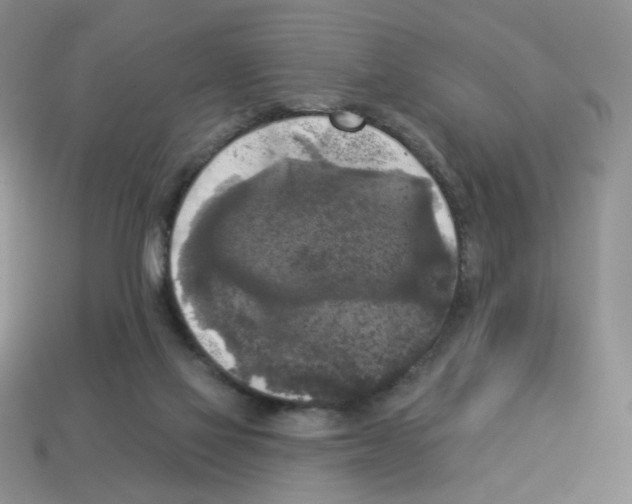 X0000112960069200910081054