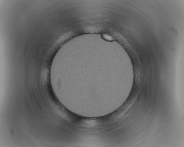 X0000112960071200910081054