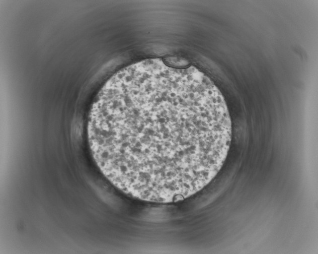 X0000112960072200910081054