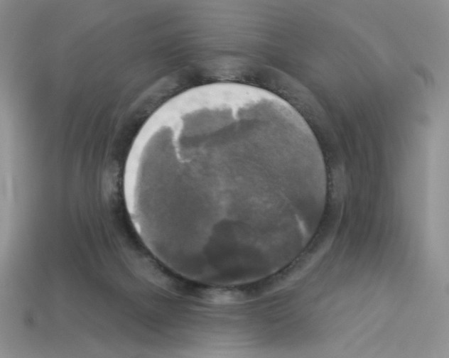 X0000112960073200910081054