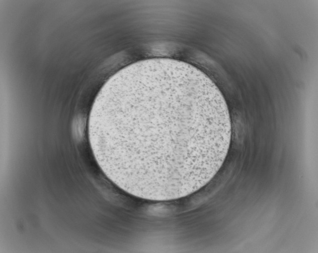 X0000112960075200910081054