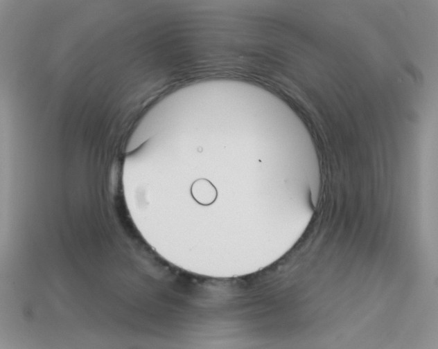 X0000112960076200910081054