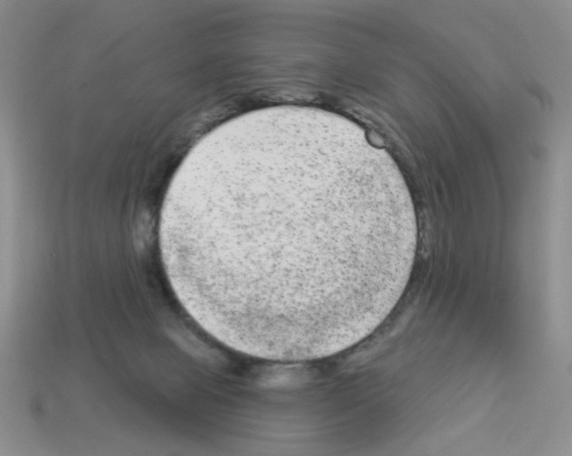 X0000112960077200910081054