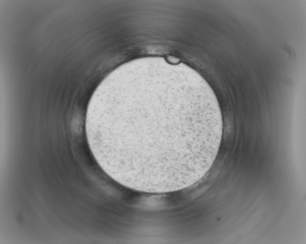 X0000112960078200910081054